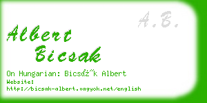 albert bicsak business card